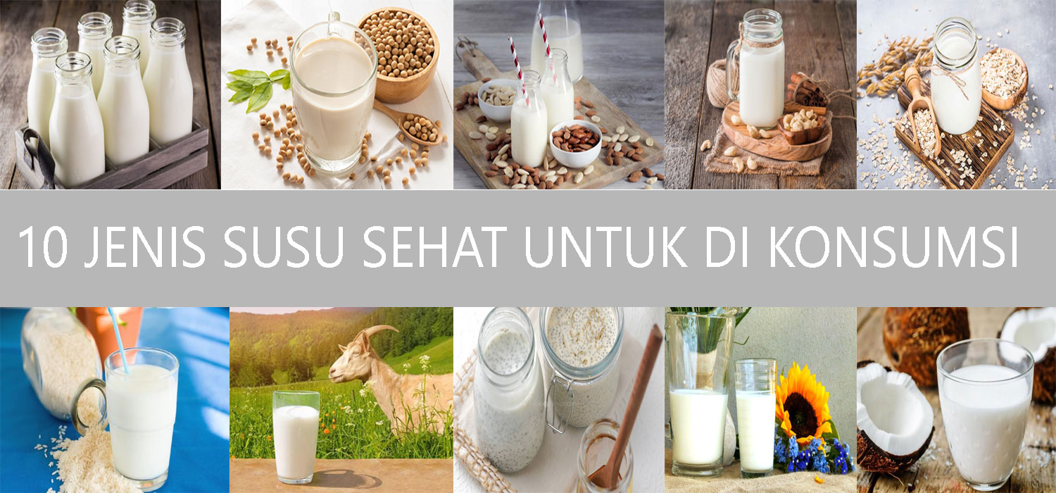 Susu Sehat yang Bagus: 10 Jenis Susu sehat untuk Dikonsumsi