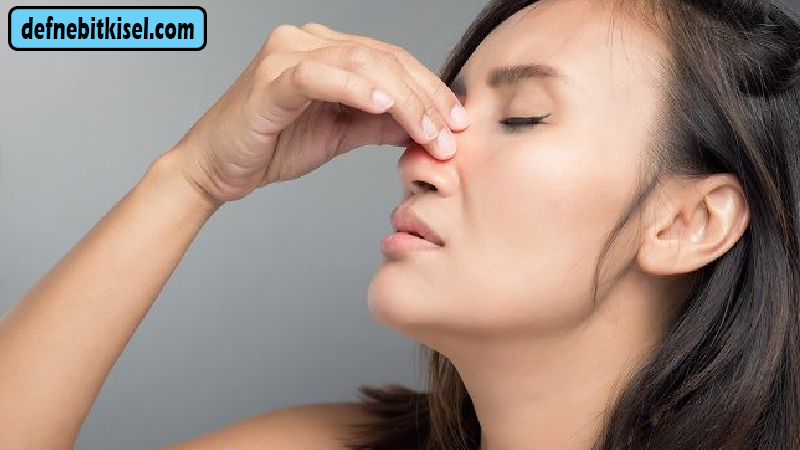 Menjaga Kesehatan Hidung: Tips dan Pentingnya Perawatan