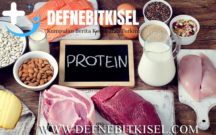 Protein dalam Meningkatkan Metabolisme dan Berat Badan