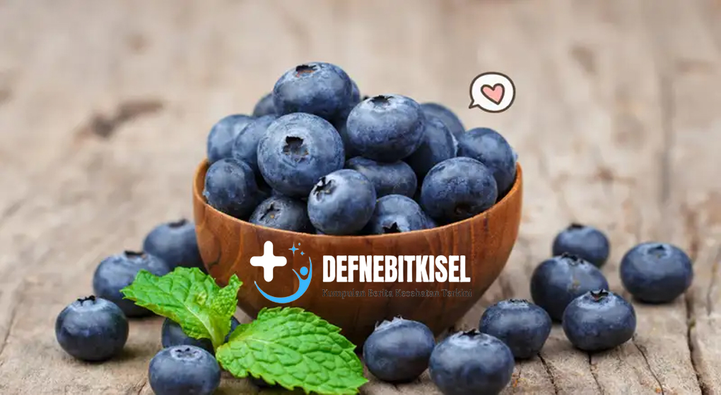 Keajaiban Blueberry: Fakta-Fakta Menarik yang Memukau