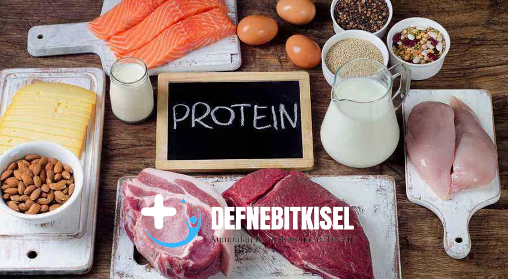 Protein Berkualitas