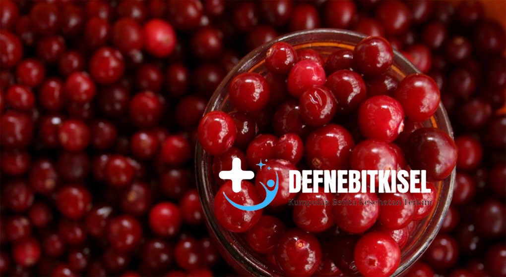 Cranberry: Buah Super dengan Manfaat Kesehatan Luar Biasa