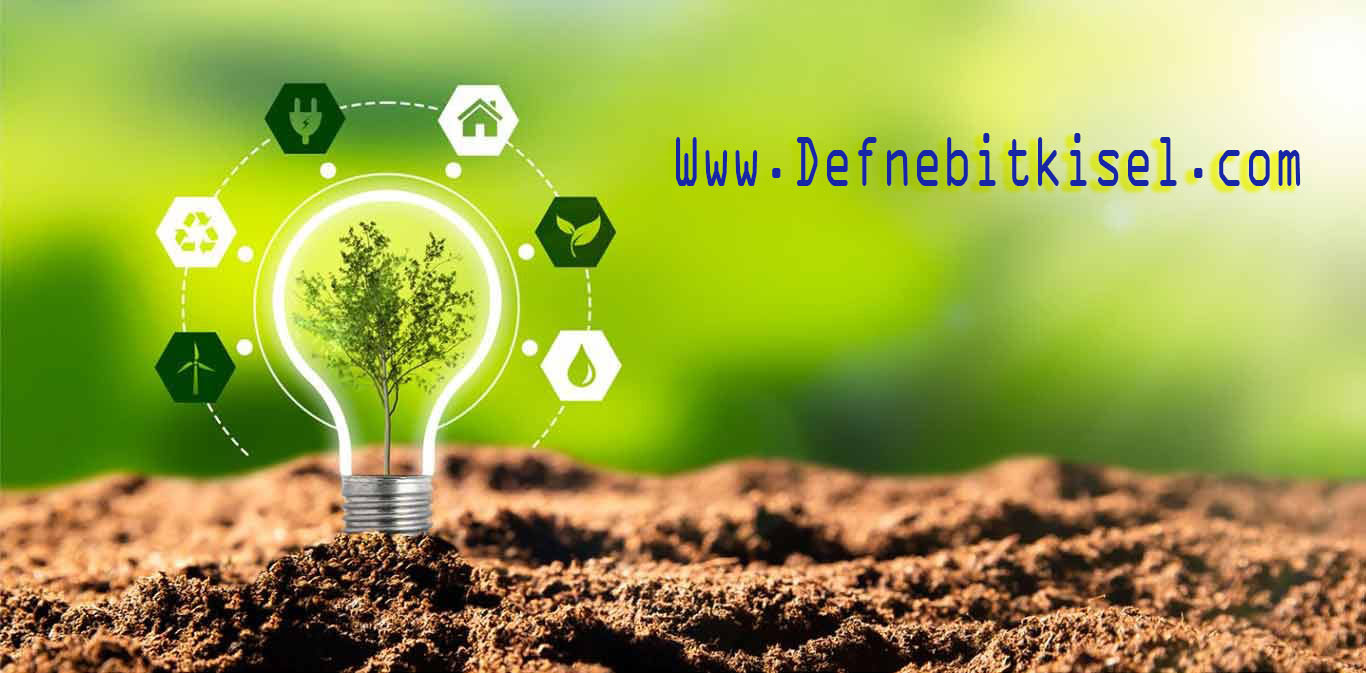 Sustainable Lifestyle:Pilihan Gaya Hidup Ramah Lingkungan